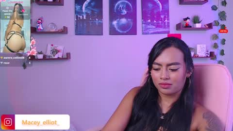 Macey Elliot Modelo Independiente online show from February 2025 03:31:01 PM