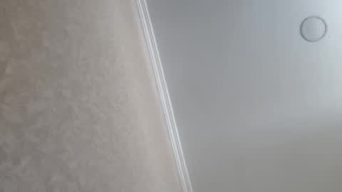 Snapshot of machine2291 chatting on February 2026 09:39:01 AM Tchia online show from February 2026 09:39:01 AM