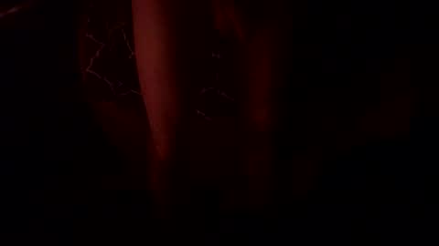 Snapshot of macsammacfuck833109 chatting on October 2025 10:49:02 AM slyshyguy69 online show from October 2025 10:49:02 AM