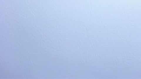  madame lilith  online show from January 2025 02:21:01 PM