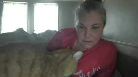 Madison online show from December 2025 03:10:01 PM