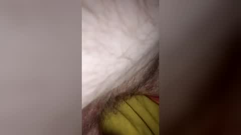 madmed69 online show from June 2026 09:47:01 AM