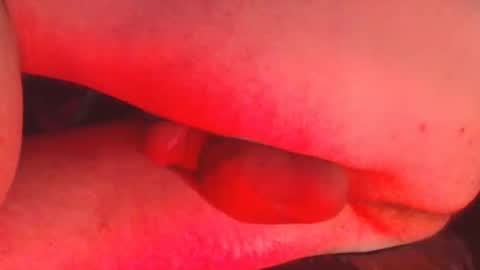 maestro2017 online show from December 2024 11:40:01 PM