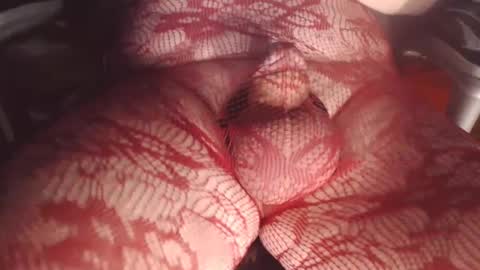 maestro2017 online show from February 2025 09:48:01 PM