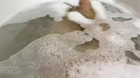 Monad online show from November 2025 09:03:02 PM