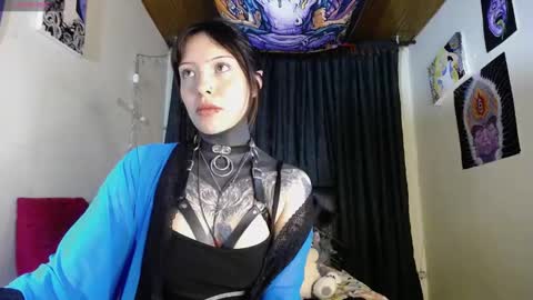 Snapshot of maliceinwonderland25 chatting on December 2024 04:25:02 AM Alice Asylum online show from December 2024 04:25:02 AM