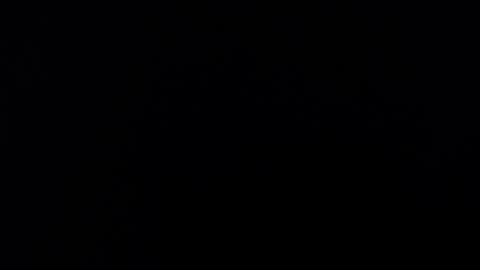 Snapshot of maliceinwonderland25 chatting on November 2025 03:45:02 AM Alice Asylum online show from November 2025 03:45:02 AM