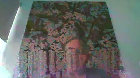 Snapshot of mambow99 chatting on April 2026 09:45:01 PM OLDMANFREE online show from April 2026 09:45:01 PM