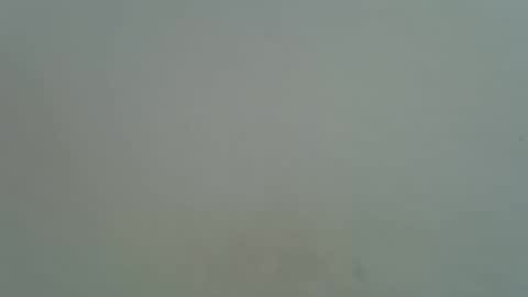 mamichula42 online show from September 2025 06:39:02 AM