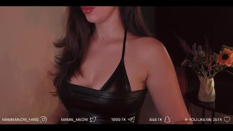 Snapshot of mamiemeow chatting on July 2026 04:49:02 PM Your Miss Alice online show from July 2026 04:49:02 PM