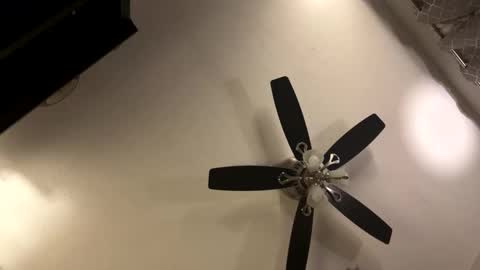 Snapshot of man4limitlessfun chatting on November 2025 09:19:02 AM Kaleb online show from November 2025 09:19:02 AM