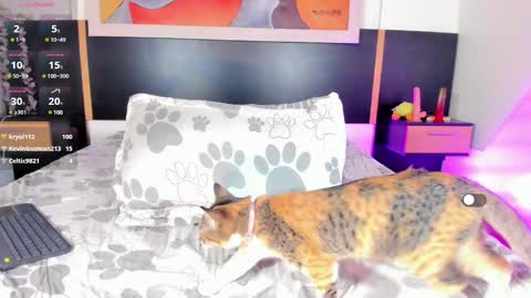 Manelyk Pindters online show from February 2025 06:33:01 AM