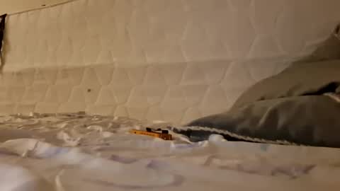 Snapshot of maniak_paraphiliacz chatting on March 2026 03:33:01 AM Jan and Man online show from March 2026 03:33:01 AM