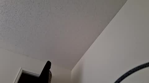 Snapshot of maniak_paraphiliacz chatting on March 2026 09:04:02 PM Jan and Man online show from March 2026 09:04:02 PM