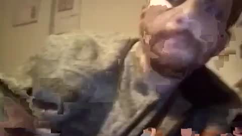 LANGERFICK online show from January 2025 07:38:02 AM