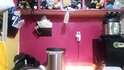 Snapshot of manicmechanic85 chatting on March 2025 06:33:02 AM Dyno johnson online show from March 2025 06:33:02 AM