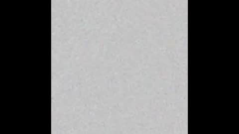 mantismillie online show from October 2025 01:43:02 PM