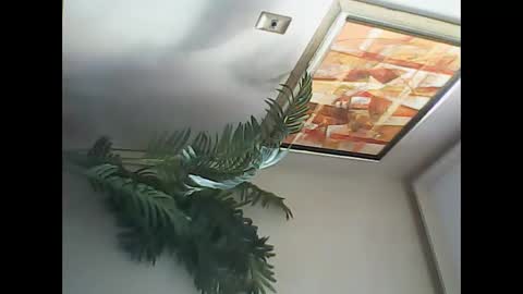 Snapshot of manu_481 chatting on March 2025 06:54:01 PM manu_481 online show from March 2025 06:54:01 PM