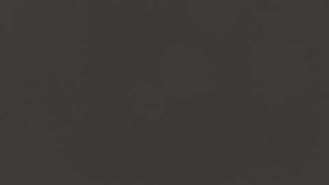 Snapshot of manuel444rl chatting on February 2025 11:17:02 AM Manuel RL online show from February 2025 11:17:02 AM