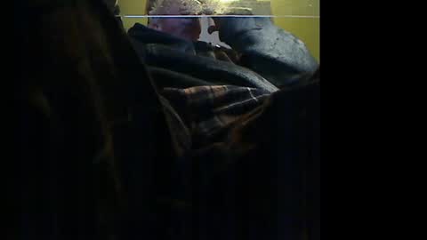 Snapshot of manufocus chatting on January 2026 10:33:02 PM Manu online show from January 2026 10:33:02 PM