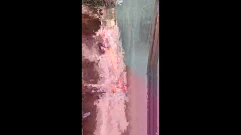 manwithatoy online show from February 2026 11:42:02 PM