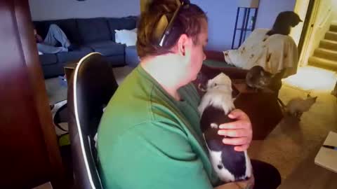 Snapshot of manyfacese chatting on April 2026 03:49:02 AM kyle online show from April 2026 03:49:02 AM