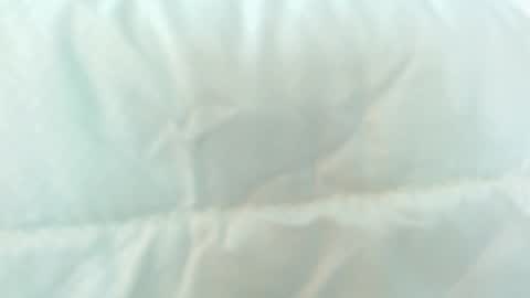   online show from January 2025 10:40:01 PM