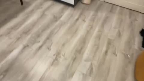 alex marvelxx online show from February 2026 06:12:02 PM