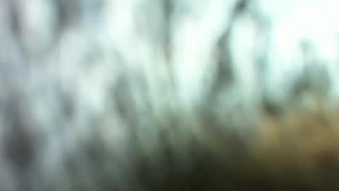 Marc online show from March 2026 02:28:02 AM