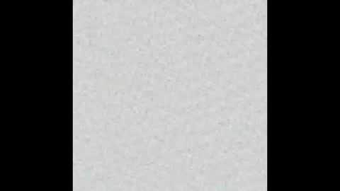 Marceline online show from October 2025 12:06:01 PM