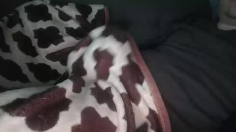 Snapshot of marekishere chatting on November 2025 12:48:02 PM marek online show from November 2025 12:48:02 PM