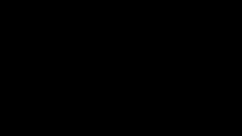 Elle online show from October 2025 02:26:01 PM