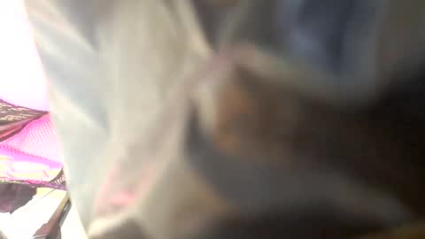 Maria Magdalena online show from October 2025 08:45:02 AM