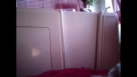 Snapshot of mariahjsav95 chatting on February 2025 02:54:01 PM MariahJade95 online show from February 2025 02:54:01 PM