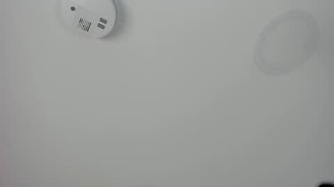 Snapshot of mariapettit chatting on March 2026 12:53:01 PM Maria Pettit online show from March 2026 12:53:01 PM