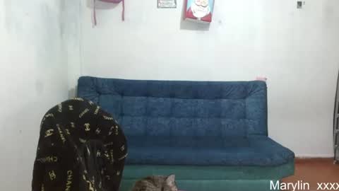  Marilyn  online show from June 2026 12:33:01 AM