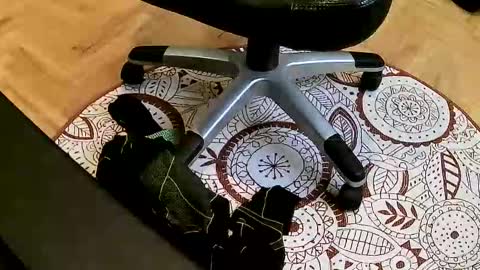 Snapshot of mario659234 chatting on March 2026 02:42:01 PM marcoxxl online show from March 2026 02:42:01 PM