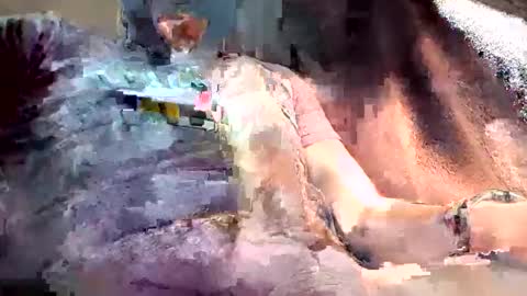 Snapshot of mark102839 chatting on March 2026 08:26:01 PM mark102839 online show from March 2026 08:26:01 PM