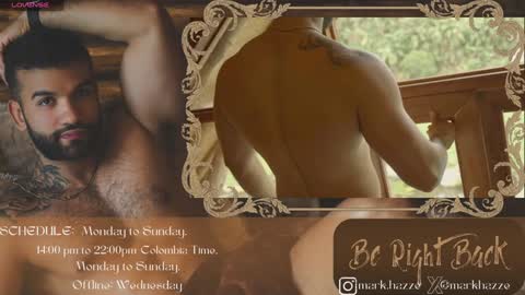Snapshot of mark_hazze chatting on January 2025 03:04:02 AM Mark online show from January 2025 03:04:02 AM