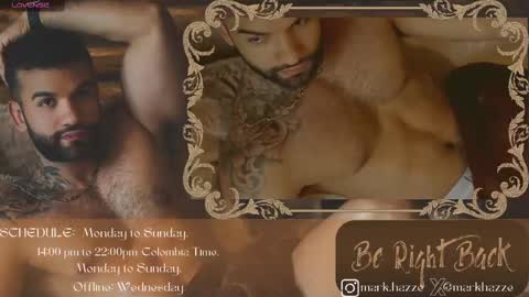 Snapshot of mark_hazze chatting on February 2025 04:43:01 AM Mark online show from February 2025 04:43:01 AM