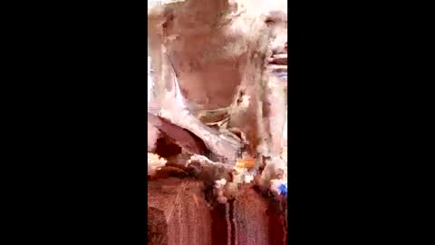 Snapshot of marki_2816 chatting on February 2026 10:34:02 AM marki_2816 online show from February 2026 10:34:02 AM