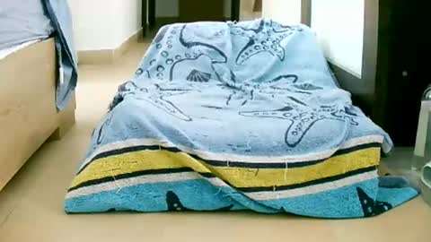 Snapshot of martinas_fantasies chatting on October 2025 10:58:02 AM Play with me I obey I promise online show from October 2025 10:58:02 AM