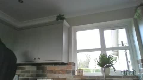 Snapshot of martinrgbxxxx chatting on December 2024 09:56:02 AM martinrgbxxxx online show from December 2024 09:56:02 AM