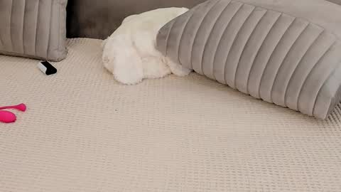 Mary Lepson online show from January 2025 05:56:01 PM