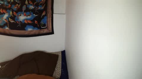 masquerade girl4 online show from April 2026 07:37:02 AM