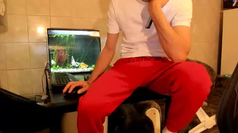 Silly Rabbit  online show from February 2026 07:34:01 PM