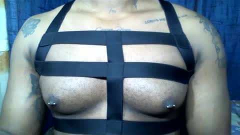 camilo online show from January 2025 09:24:01 AM