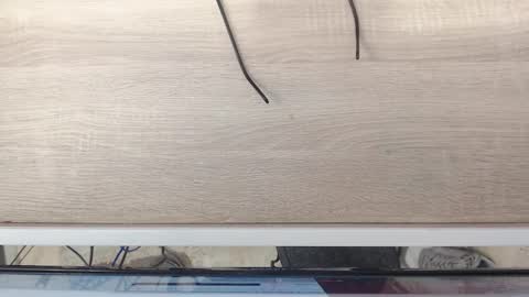 Mateo online show from February 2026 07:51:01 AM