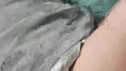 Snapshot of mathisdavid6757 chatting on November 2025 01:32:02 PM mathisdavid6757 online show from November 2025 01:32:02 PM