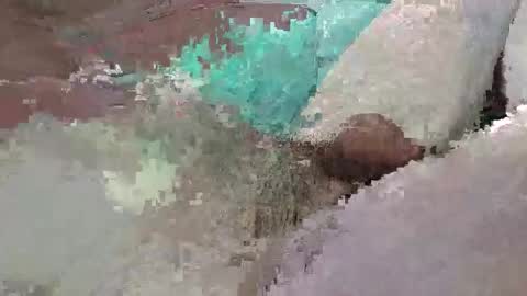 Snapshot of mathisdavid6757 chatting on February 2026 12:20:02 PM mathisdavid6757 online show from February 2026 12:20:02 PM